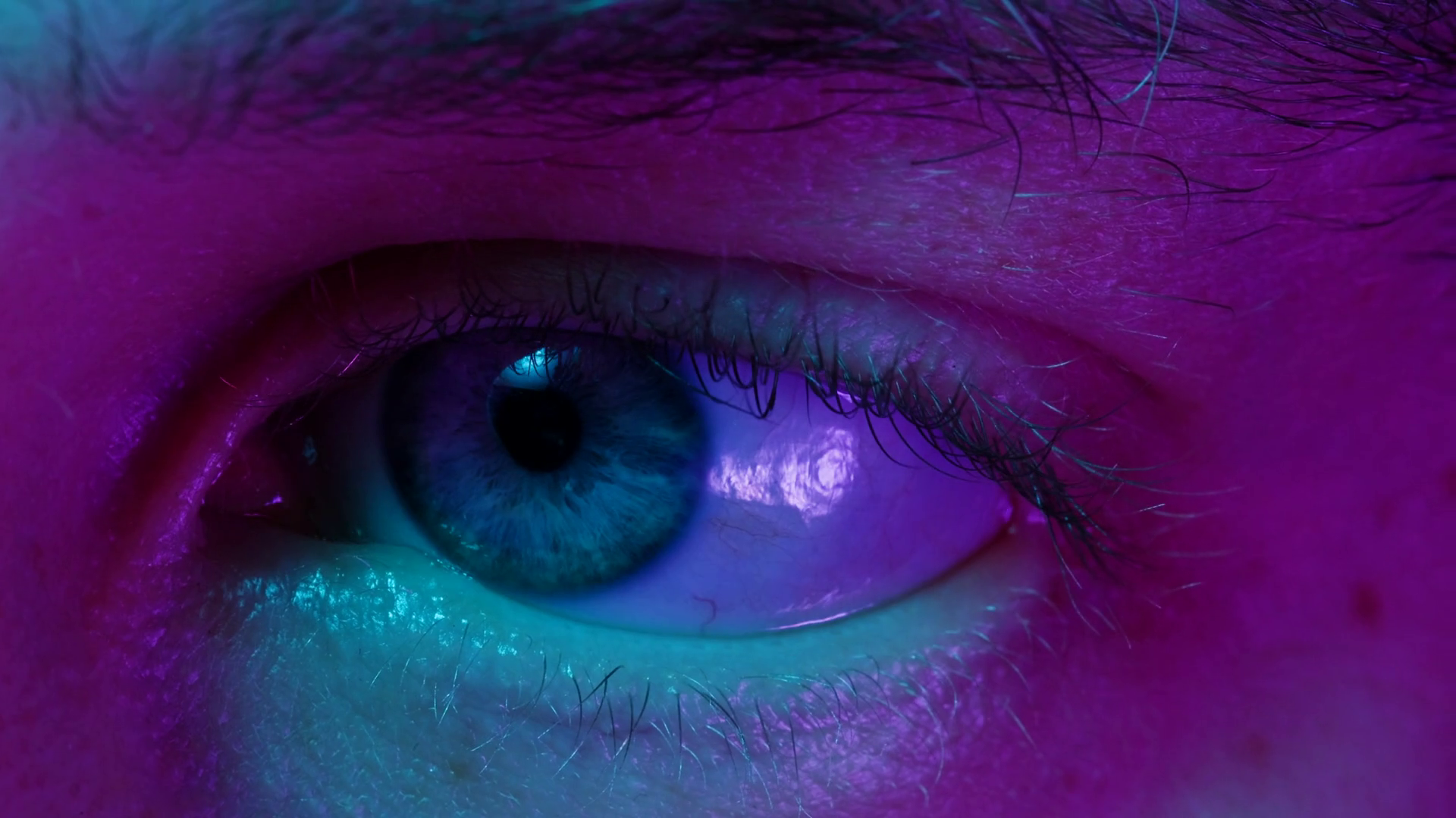 Detailed Closeup Macro Shot Of Blue Human Stock Footage SBV-349217034 ...