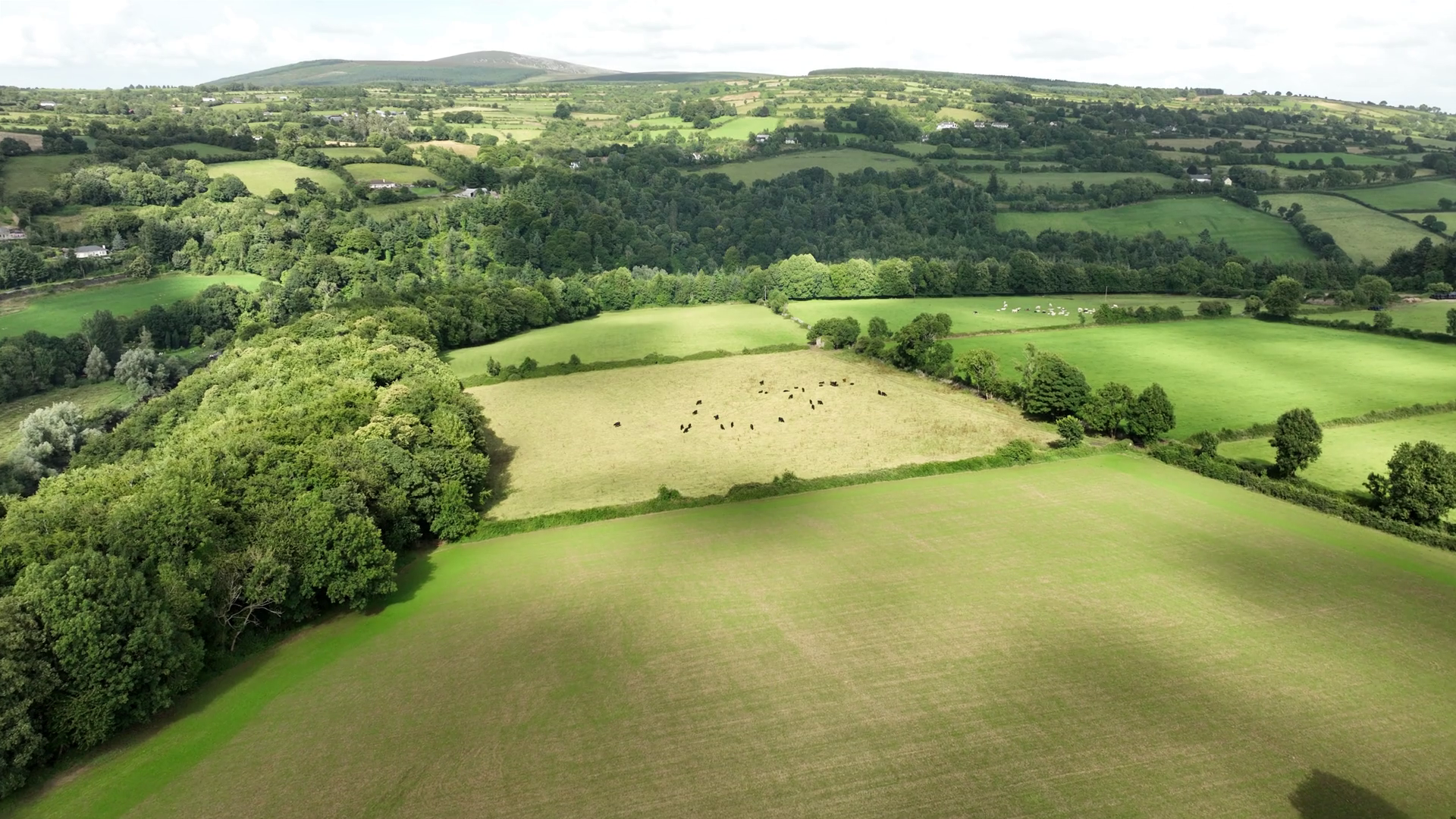 Rural Landscape Agricultural Land Fields Stock Footage SBV-348732950 ...
