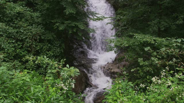 Nature Waterfall Stock Footage: Royalty-Free Video Clips - Storyblocks