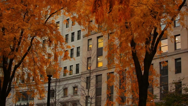 Building Fall Stock Footage: Royalty-Free Video Clips - Storyblocks