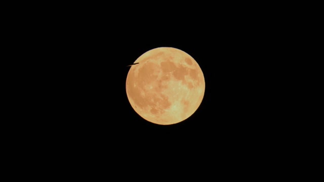 Yellow Moon Stock Footage: Royalty-Free Video Clips - Storyblocks