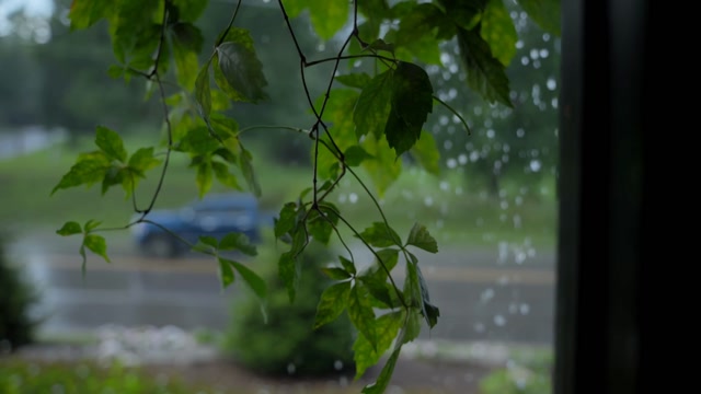 Country Rain Stock Footage: Royalty-Free Video Clips - Storyblocks