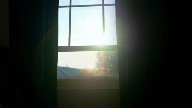 Daylight View Stock Footage: Royalty-Free Video Clips - Storyblocks