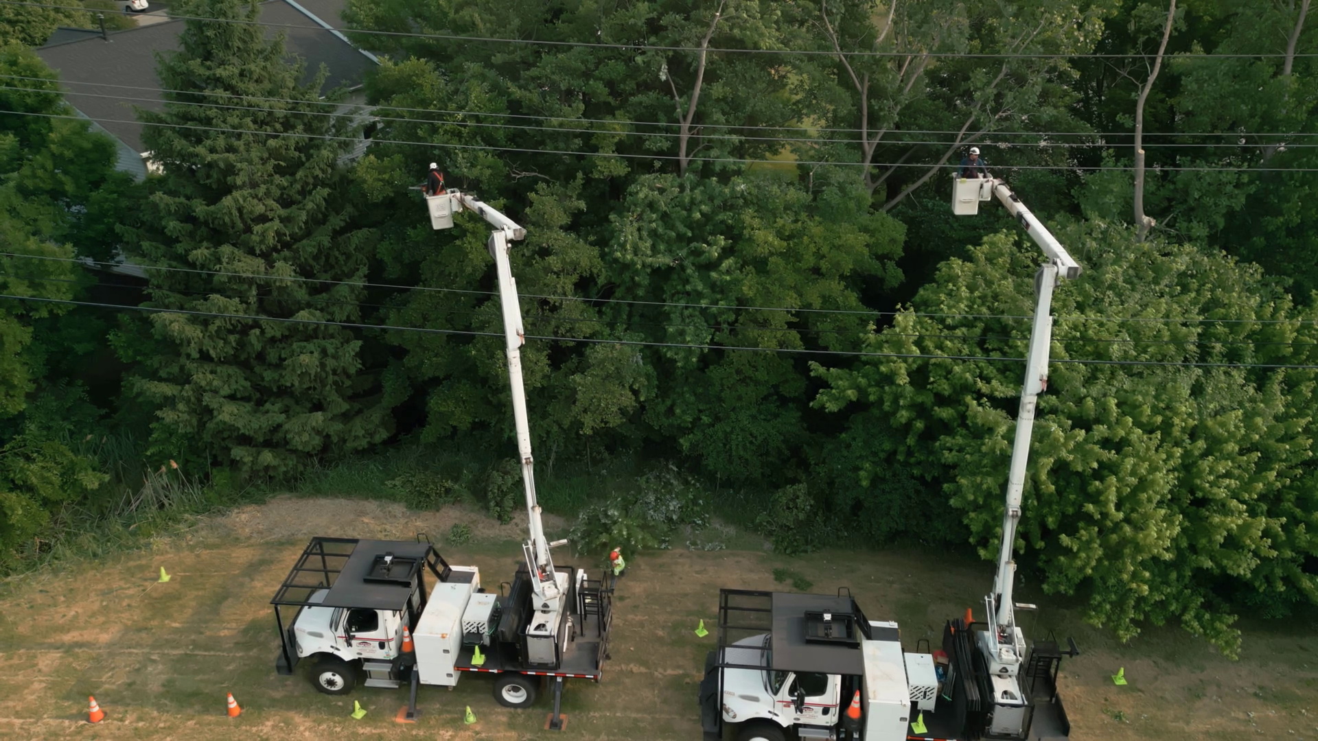 Safety Tree Trimming Work Crew From Company Stock Footage SBV-347768844 ...