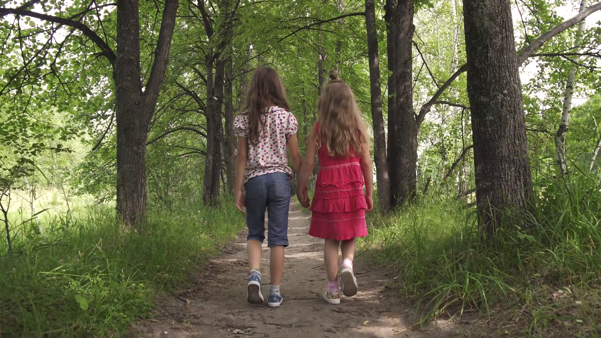 Two Sisters Walking Hand In Hand Outdoors Stock Footage SBV-316084292 ...