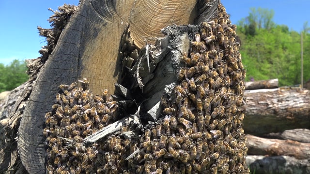 Drone Swarm Stock Footage: Royalty-Free Video Clips - Storyblocks