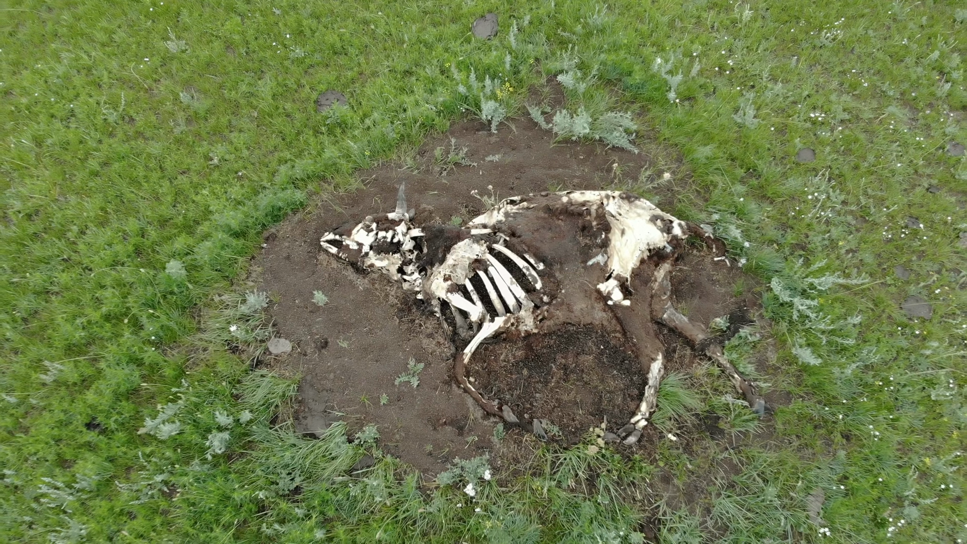 Aerial Drone Pulls Away From Decomposing Stock Footage SBV-353882848 ...
