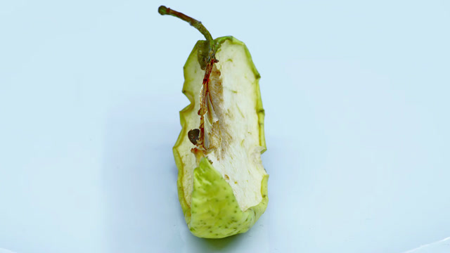 Rotten Food Stock Footage: Royalty-Free Video Clips - Storyblocks