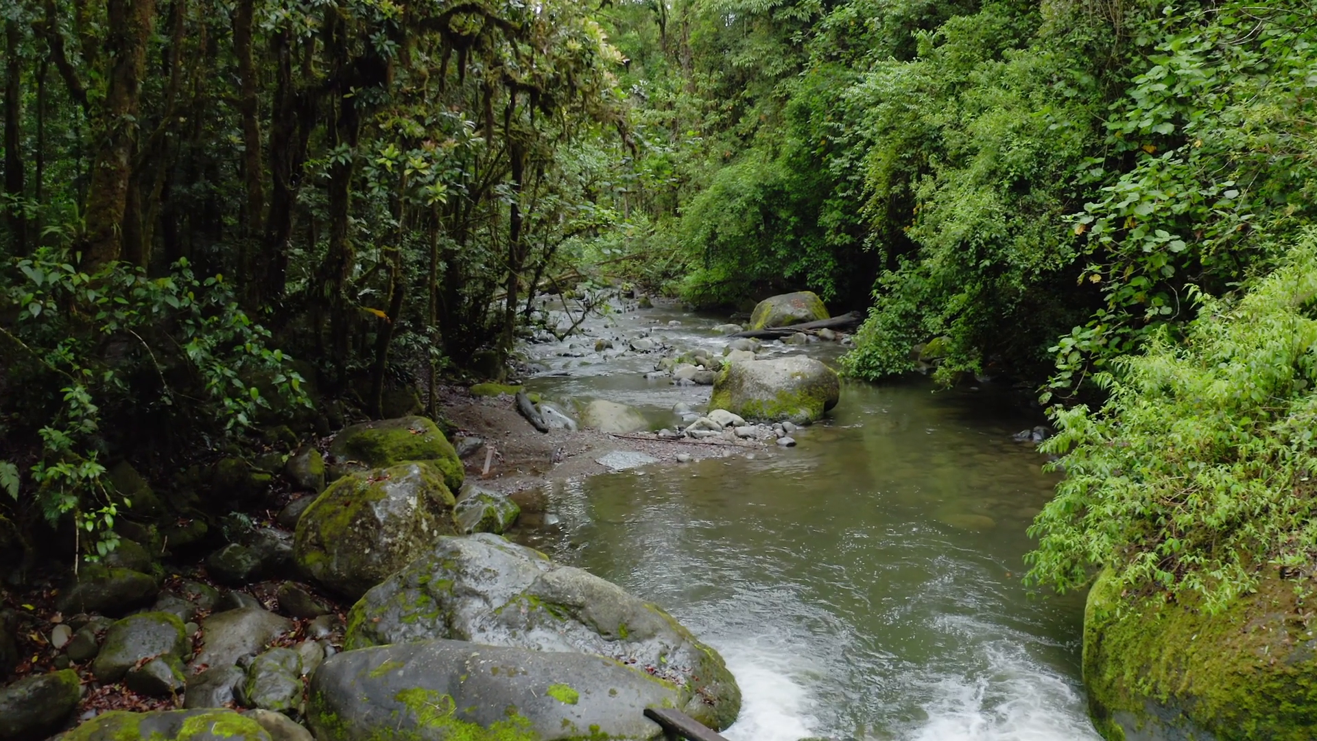 Aerial Drone View Of River In Costa Rica Stock Footage SBV-352949133 ...