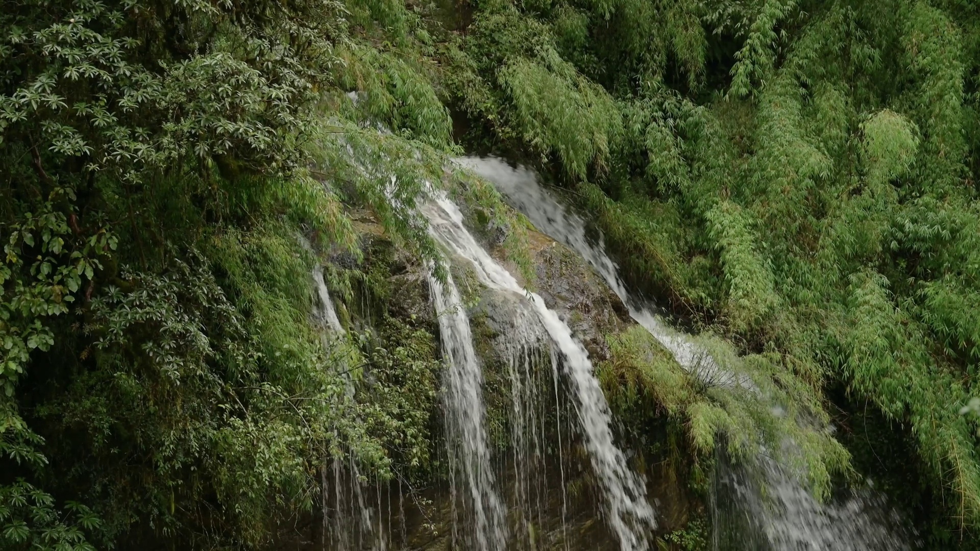 Forest Waterfall In Rugged Mountains Close Stock Footage SBV-352923912 ...