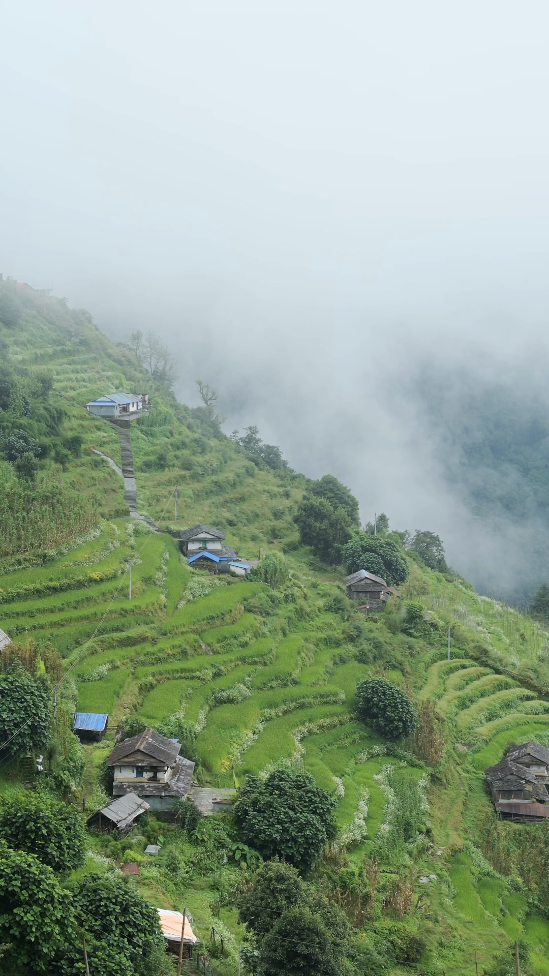 Vertical Rice Paddy Fields Terraces In Rural Stock Footage SBV ...