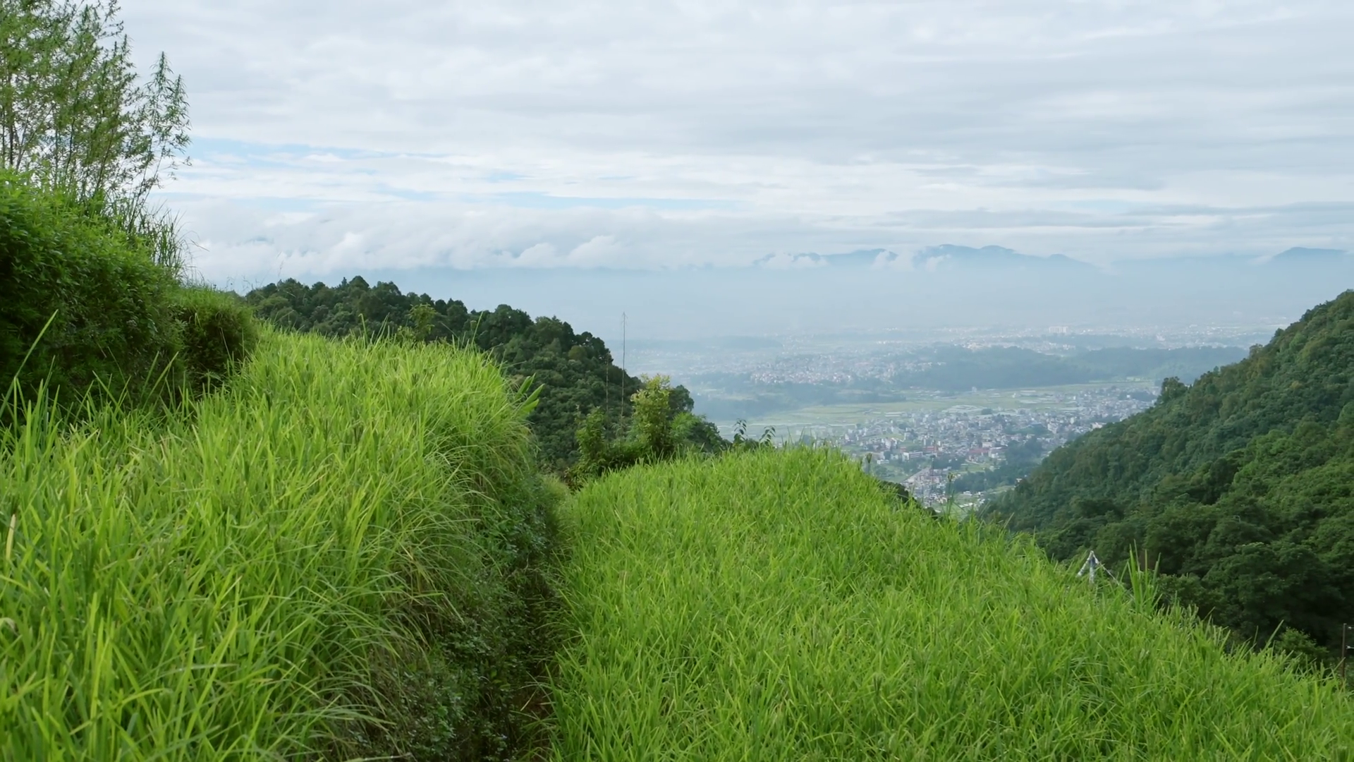 Rural Scenery Kathmandu In Nepal Rice Fields Stock Footage SBV ...
