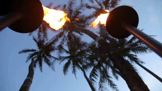 Tiki Torches And Palm Trees Stock Footage: Royalty-Free Video Clips ...