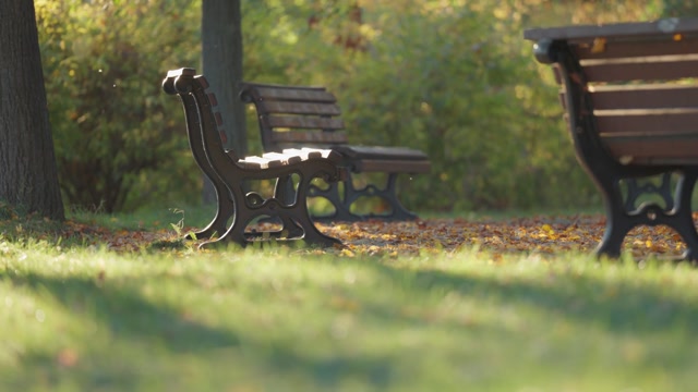 Park Benches Stock Footage: Royalty-Free Video Clips - Storyblocks