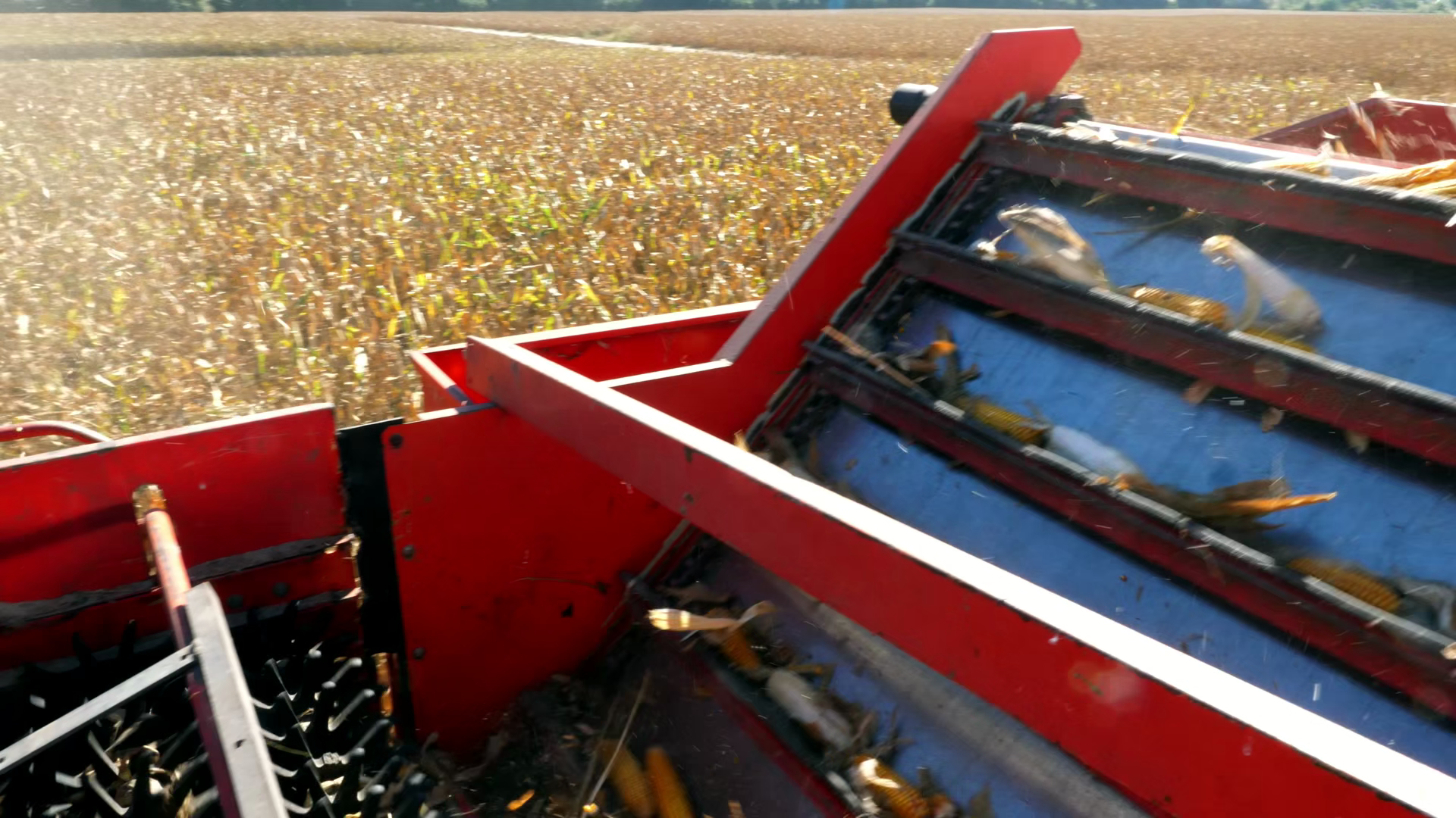 Heavy Combine Harvester Equipment Sorting Stock Footage SBV-353922100 ...