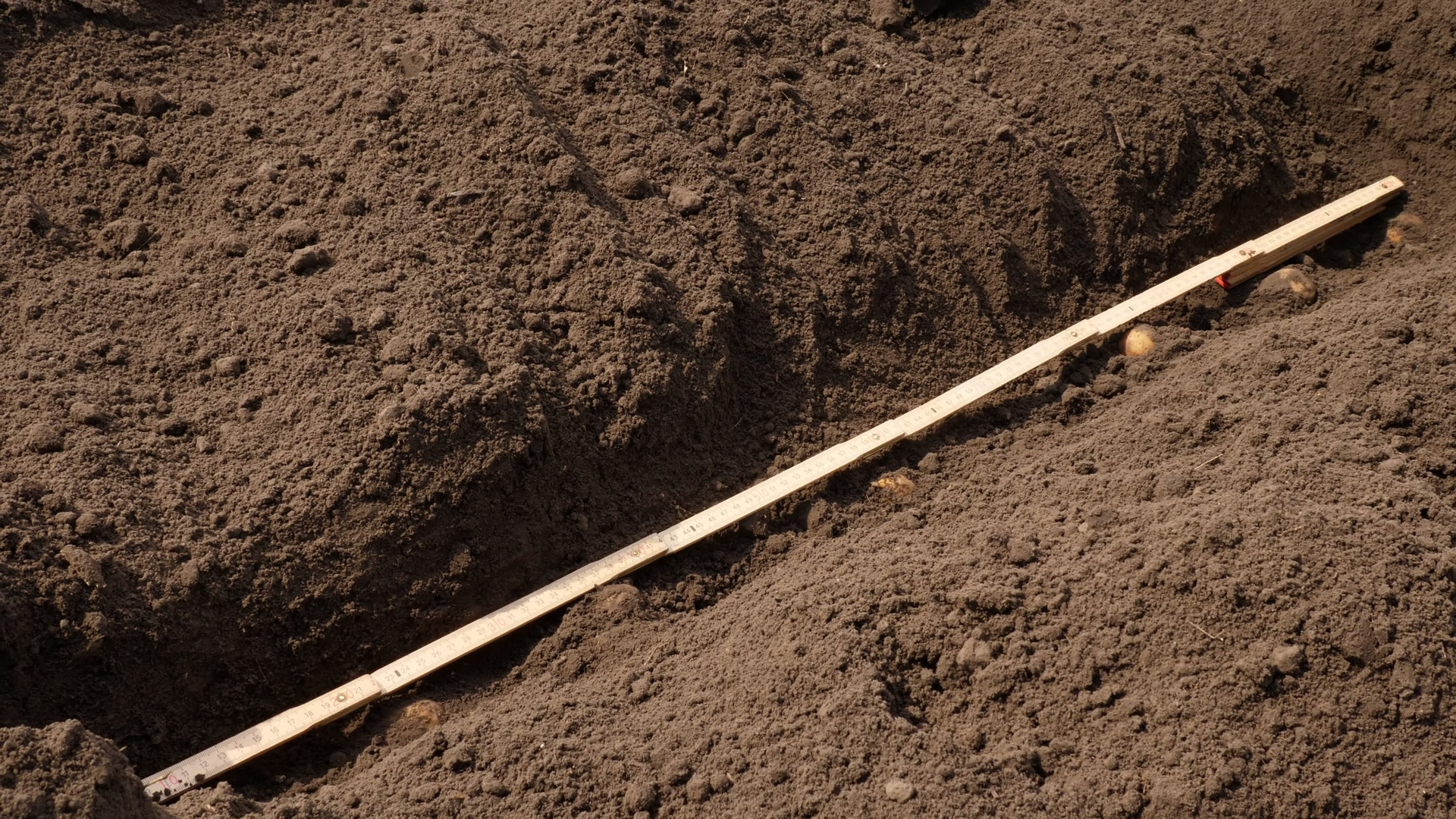 Hand Holding Ruler Measuring Furrow Depth On Stock Footage SBV ...