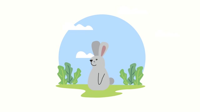 Rabbit Video Stock Footage: Royalty-Free Video Clips - Storyblocks
