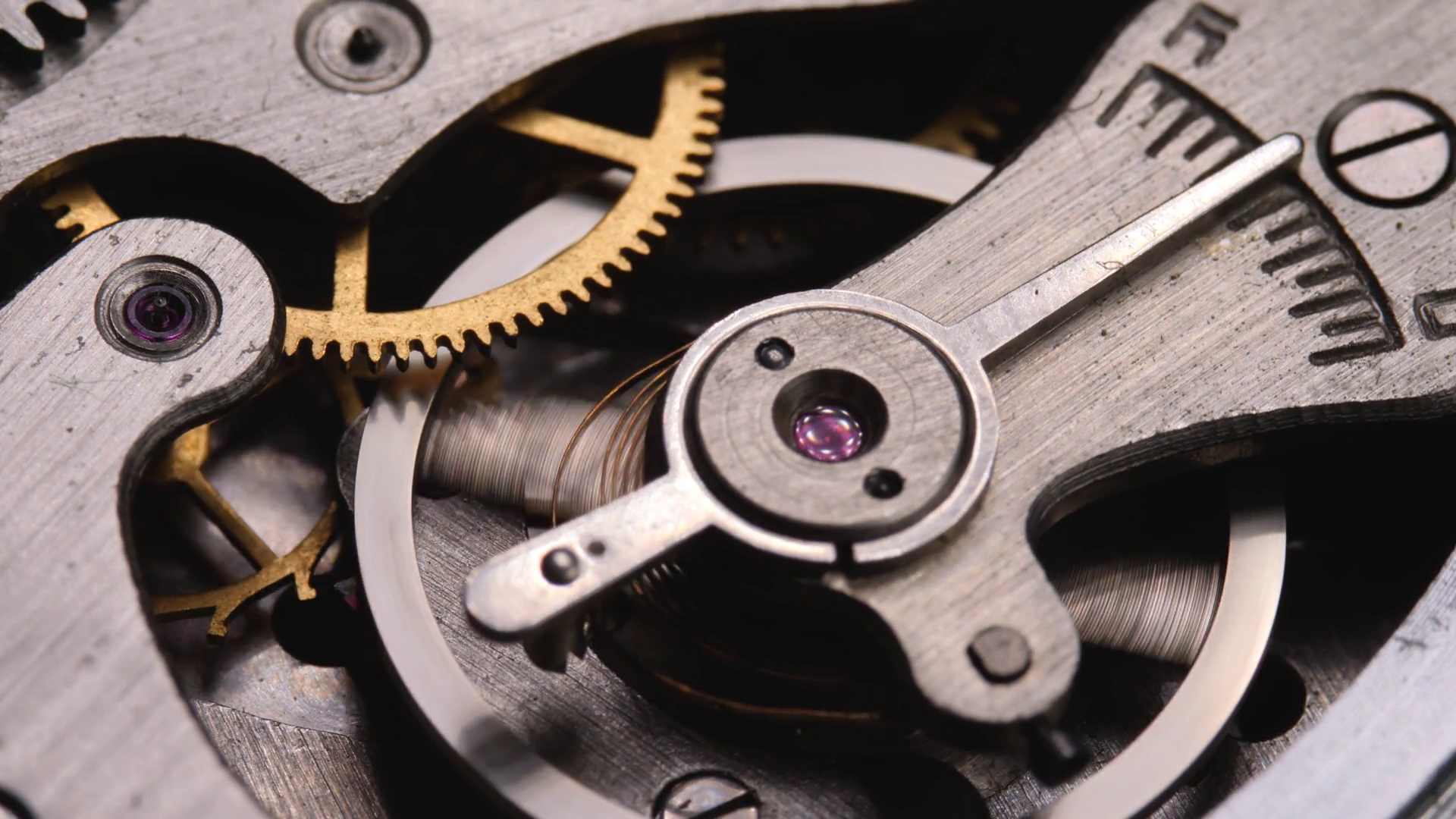 Mechanical Watches With Gears Cogs Watch Stock Footage SBV-348572130 ...