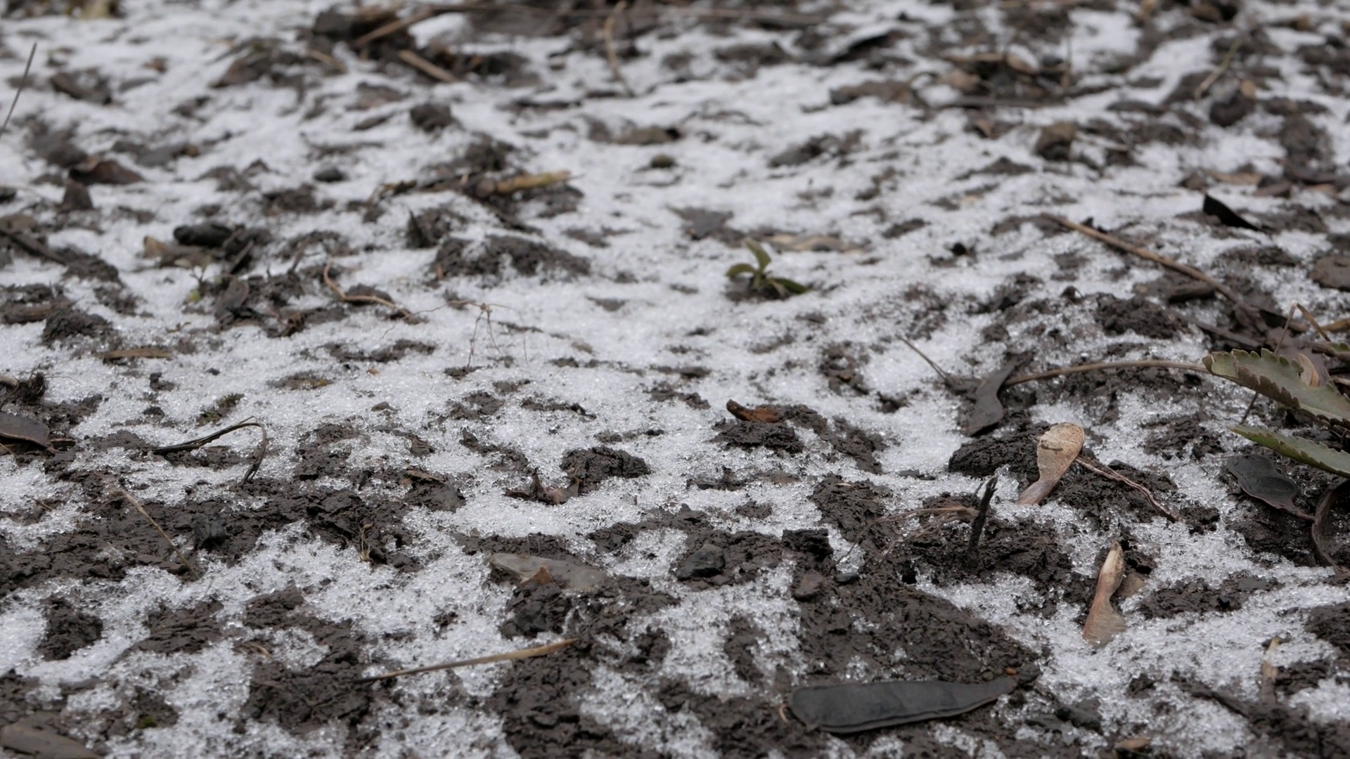 Ground Surface Field Farming With First Snow Stock Footage SBV ...