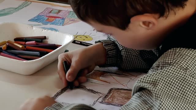Drawing Lesson Stock Footage: Royalty-Free Video Clips - Storyblocks
