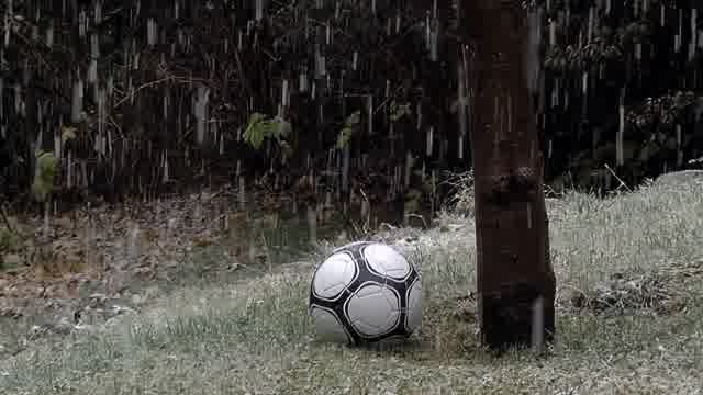 Snow Ball Stock Footage: Royalty-Free Video Clips - Storyblocks