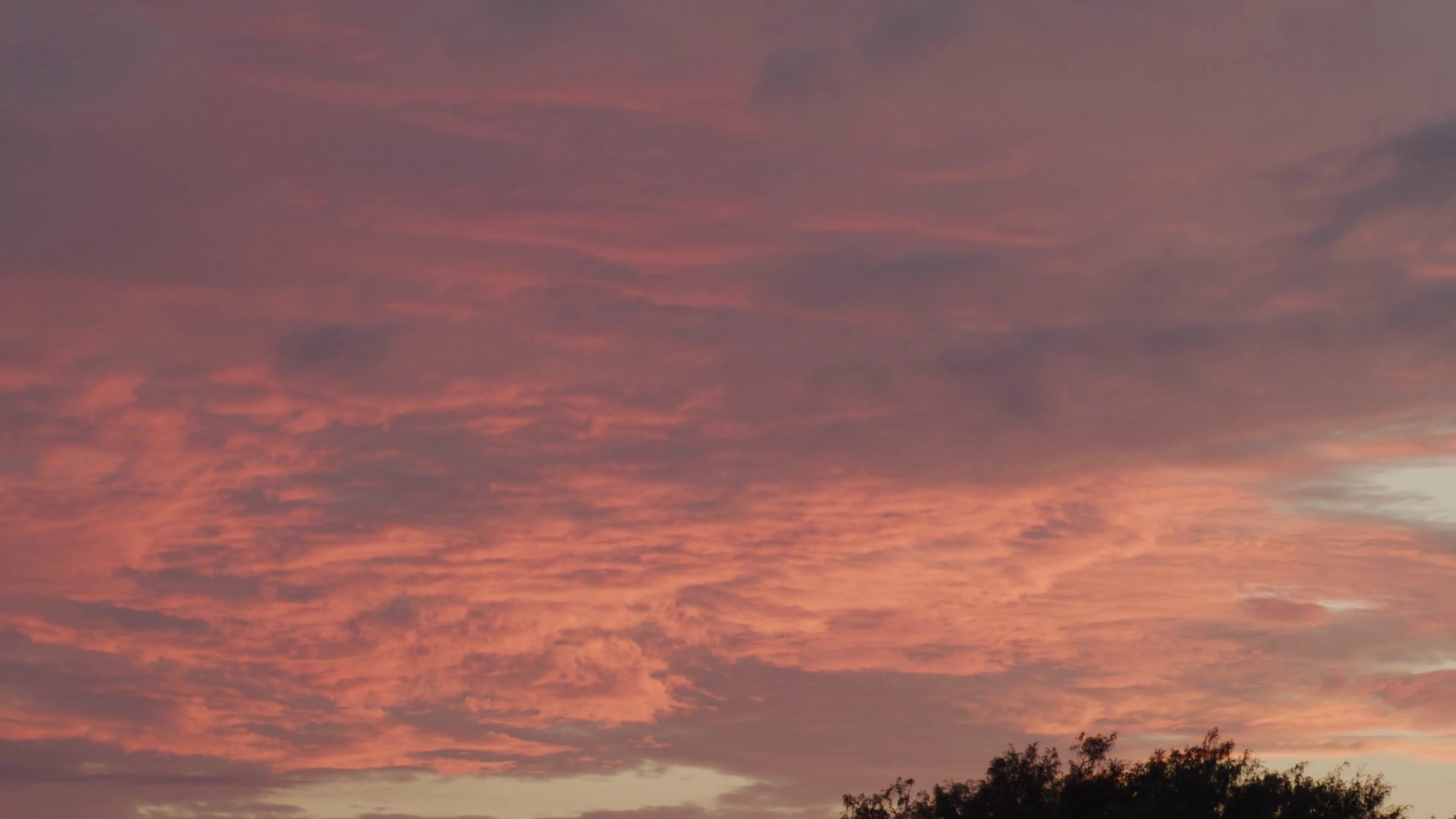 Telephoto View Of Pink Sunrise Glow Across Stock Footage SBV-351767101 ...