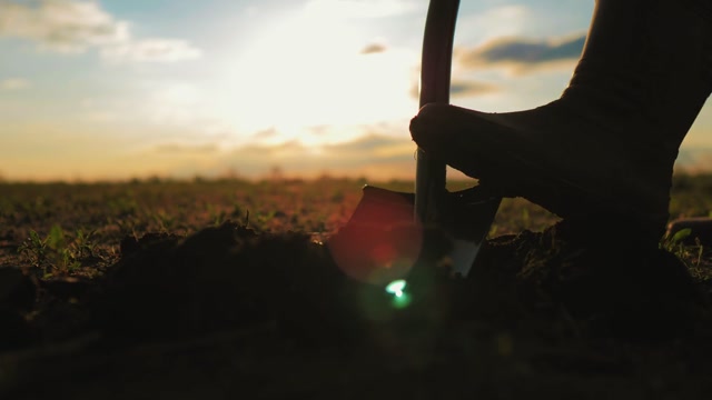 Digging Stock Footage: Royalty-Free Video Clips - Storyblocks