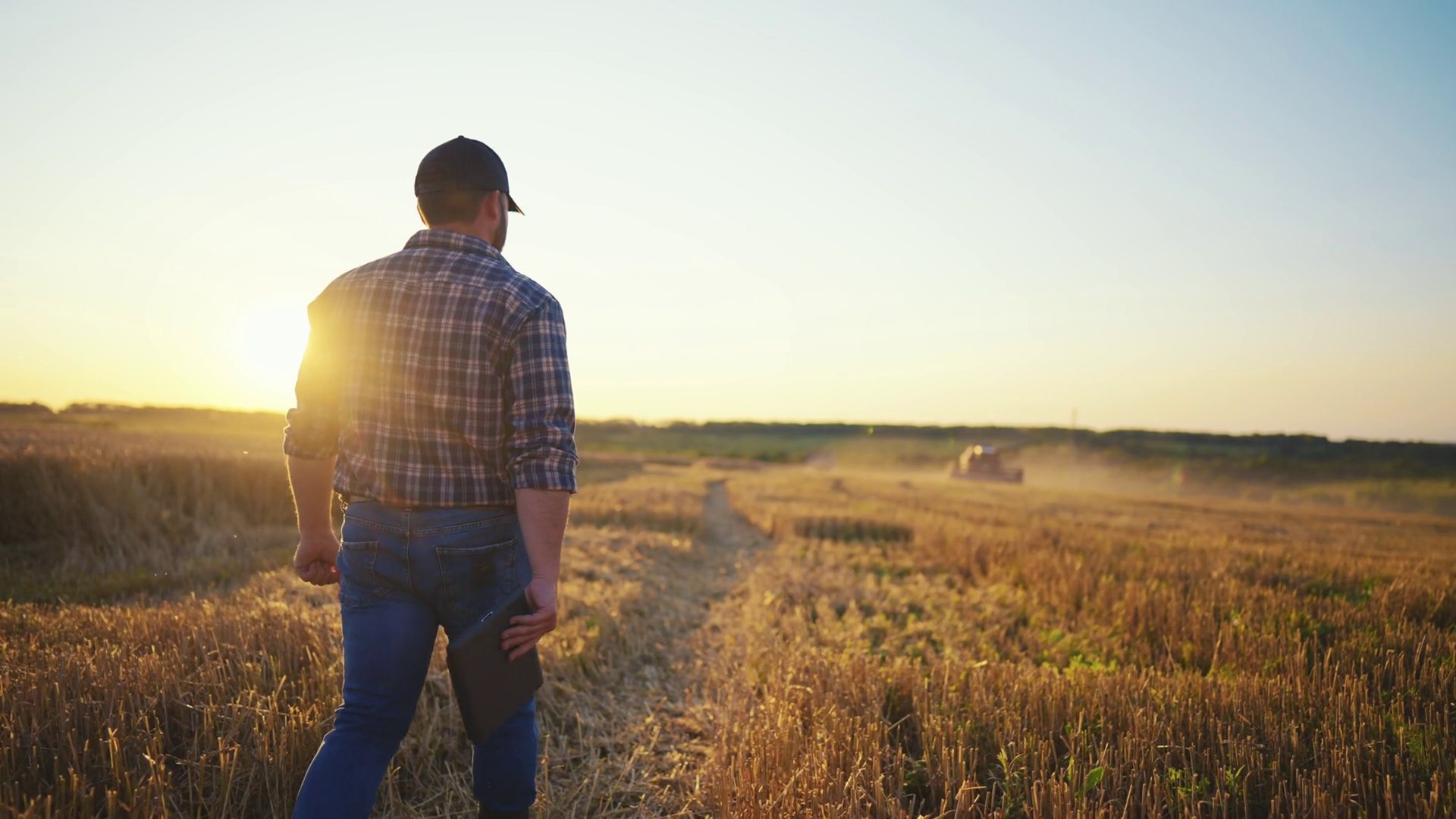 Back View Of Farmer Walking On Field With Stock Footage SBV-348799904 ...