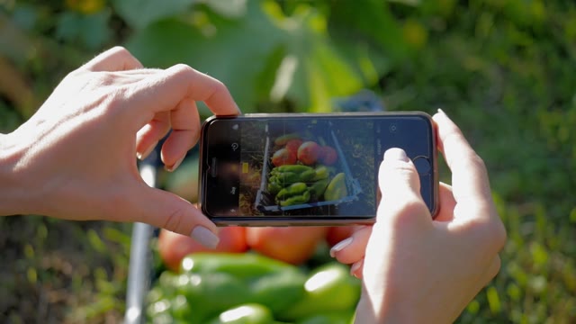 Phone Photo Gallery Stock Footage: Royalty-Free Video Clips - Storyblocks