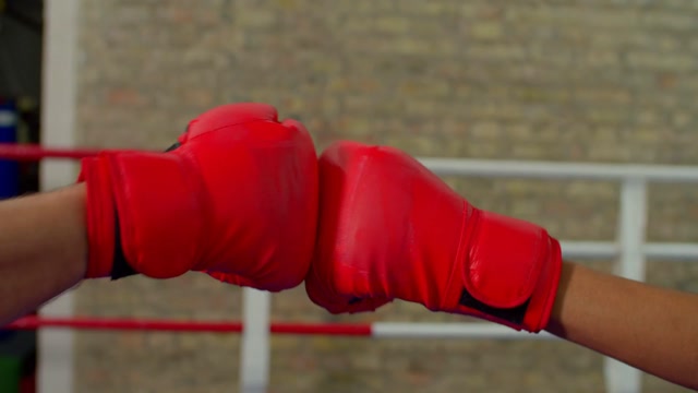 Determination Respect Stock Footage: Royalty-Free Video Clips - Storyblocks