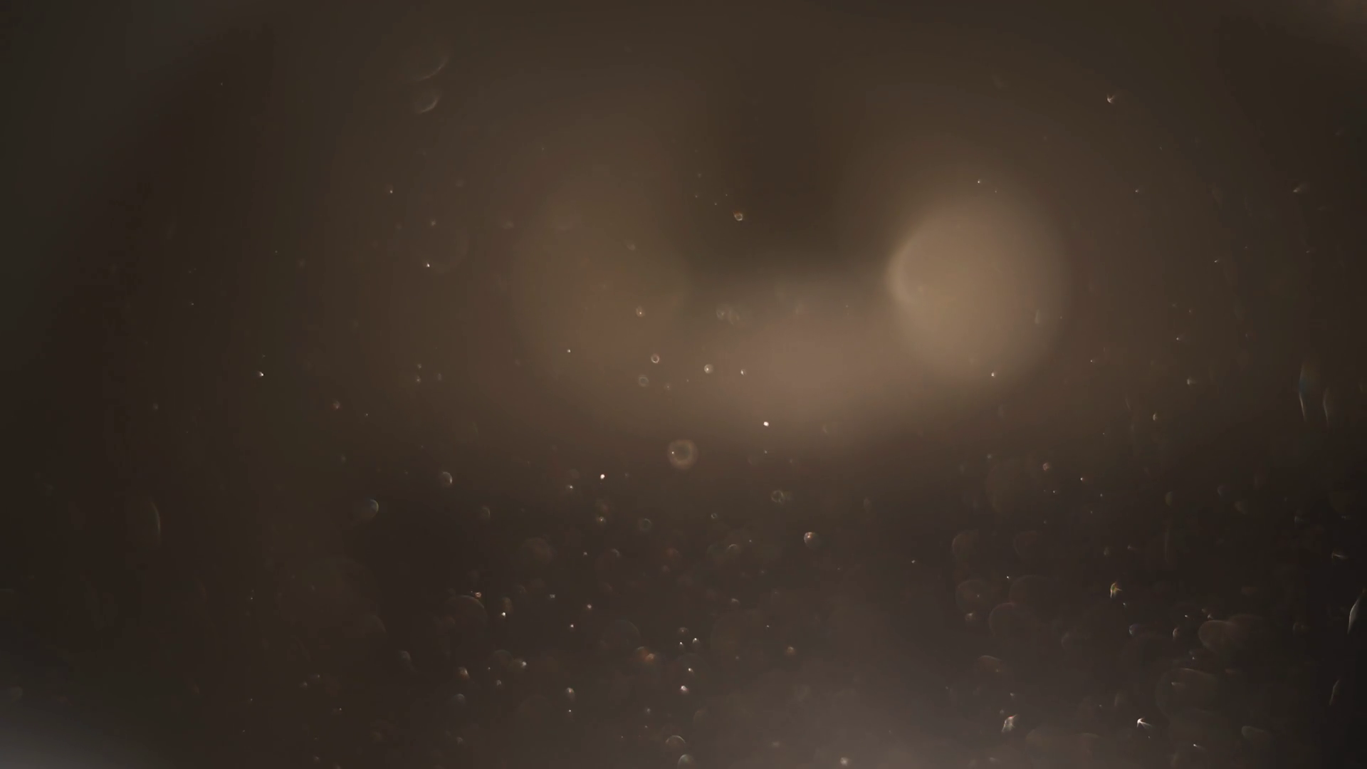 Particles Of Dust Flying In Rays Of Morning Stock Footage SBV-347724345 ...