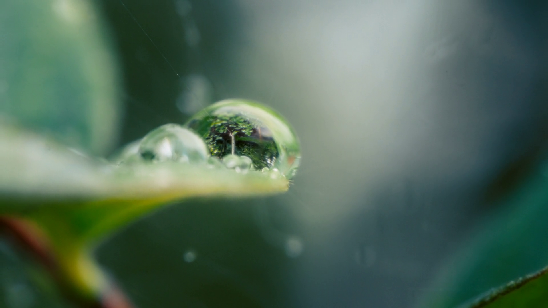 Macro Shot Of Water Drop With Reflection Of Stock Footage SBV-348657972 ...