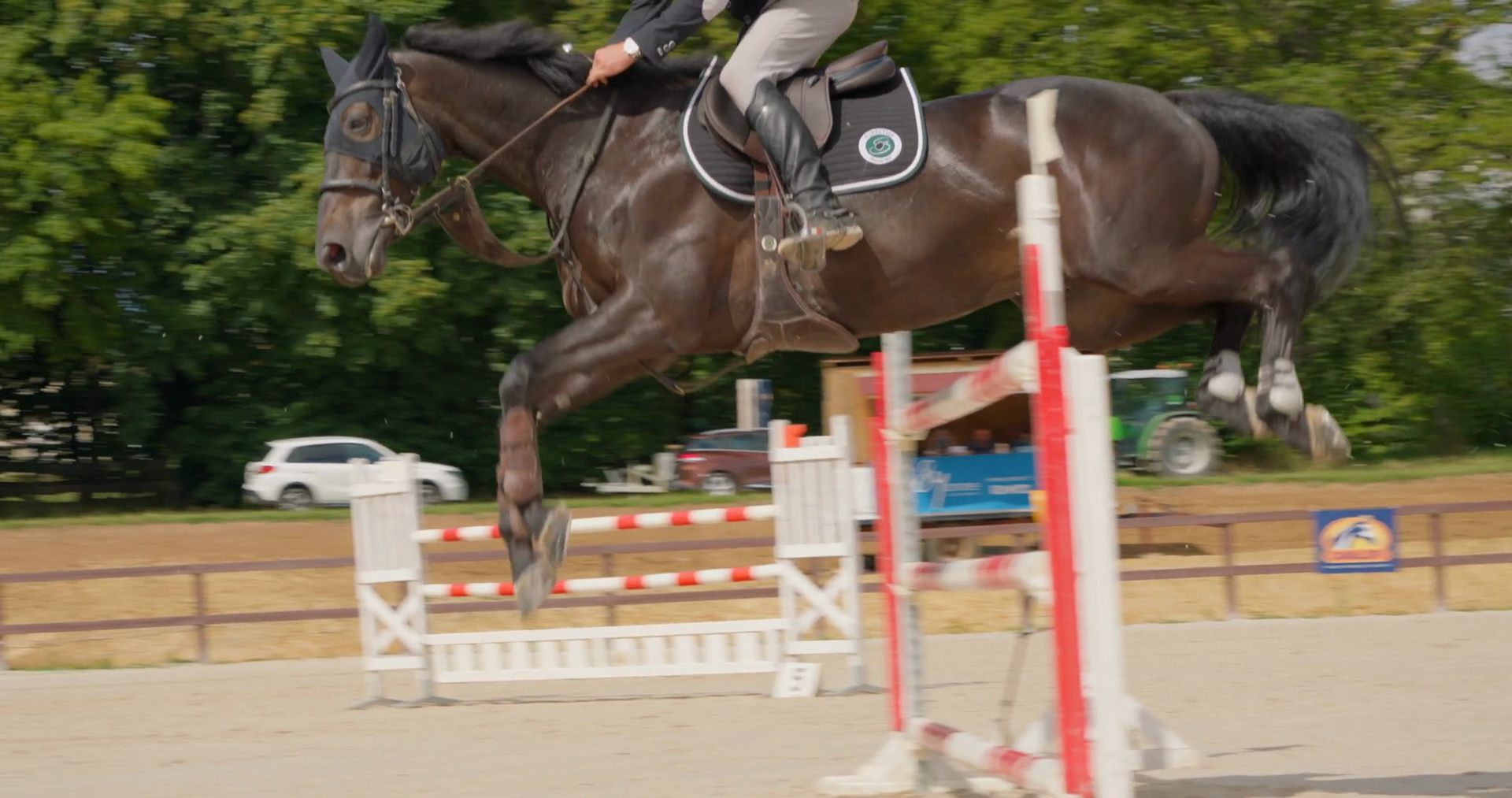 Jumping Horse Equestrian Jumping On Stock Footage SBV-348486534 ...