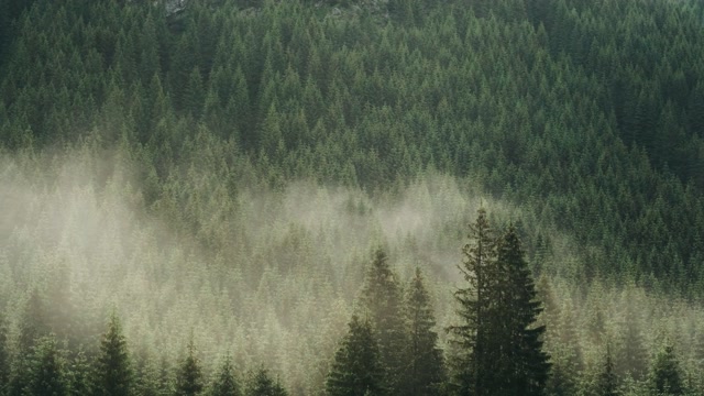 Misty Background Stock Footage: Royalty-Free Video Clips - Storyblocks