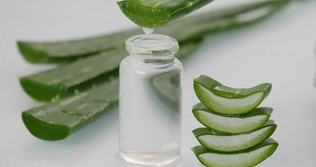 Aloe Vera Stock Footage: Royalty-Free Video Clips - Storyblocks