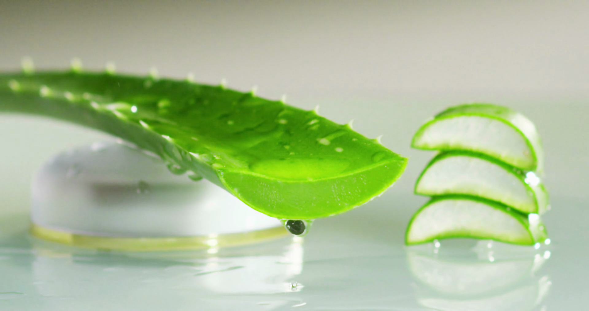 Aloe Vera Stock Footage: Royalty-Free Video Clips - Storyblocks