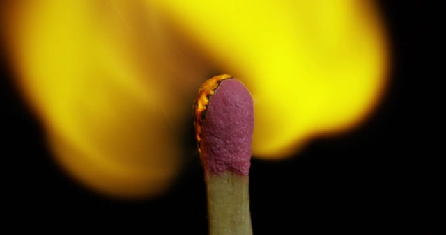 Color Burn Stock Footage: Royalty-Free Video Clips - Storyblocks