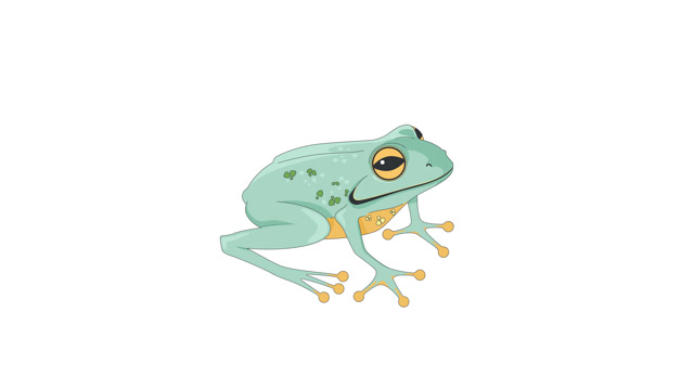 Frog Animation Stock Footage: Royalty-Free Video Clips - Storyblocks