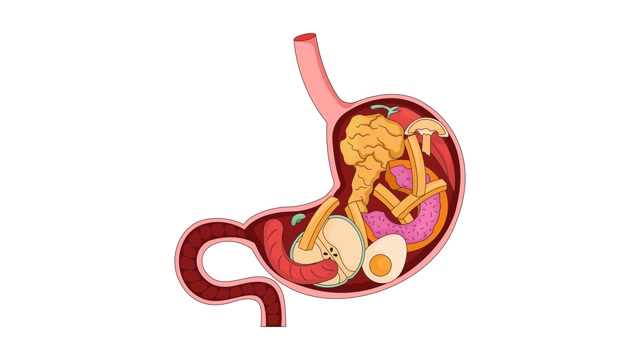 Digestion Of Food Stock Footage: Royalty-Free Video Clips - Storyblocks