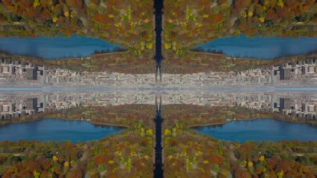 Inverted Color Stock Footage: Royalty-Free Video Clips - Storyblocks