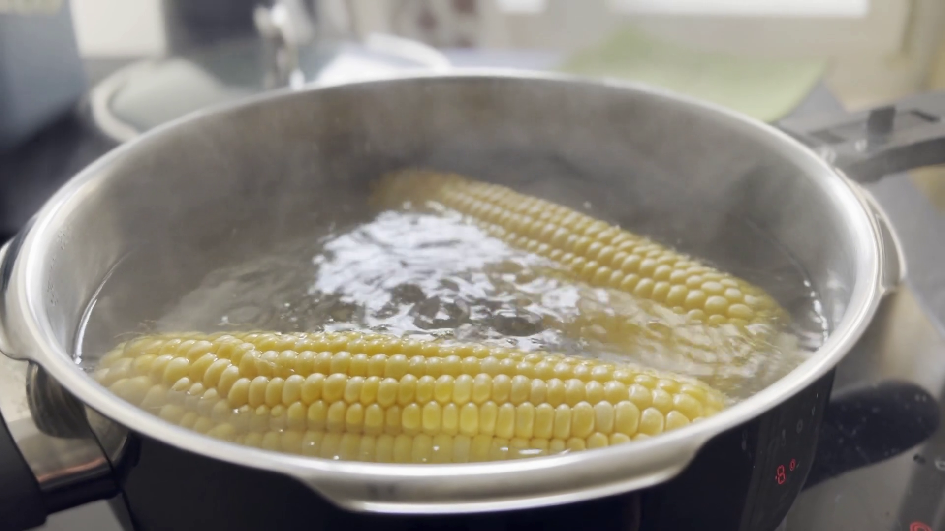Comfort Cooking Boiling Corn In Pot Of Water Stock Footage SBV ...