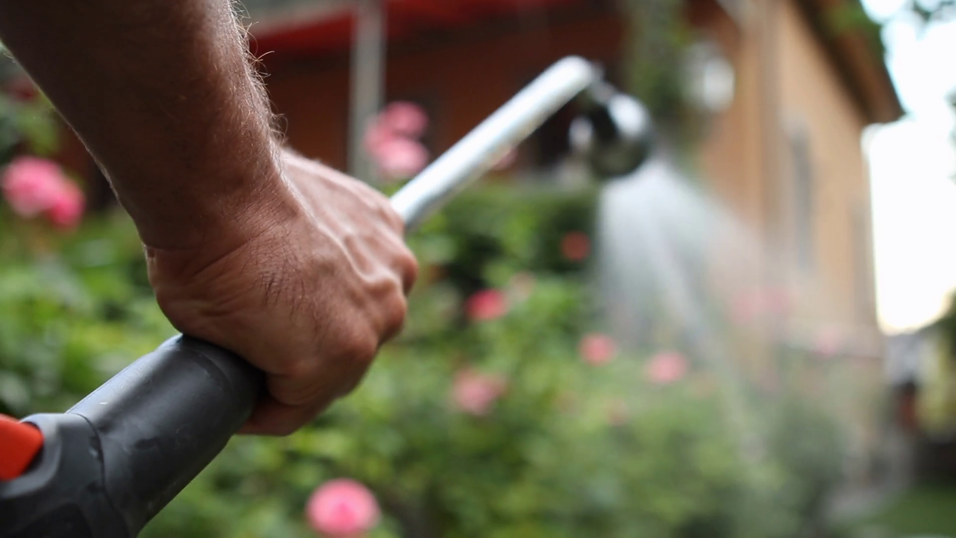 Close Up Person Watering Garden Man Spraying Stock Footage SBV ...