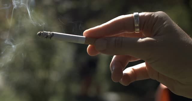 are menthol cigarettes coming back to california Flavor Bans Multiply, But Menthol Continues to Divide