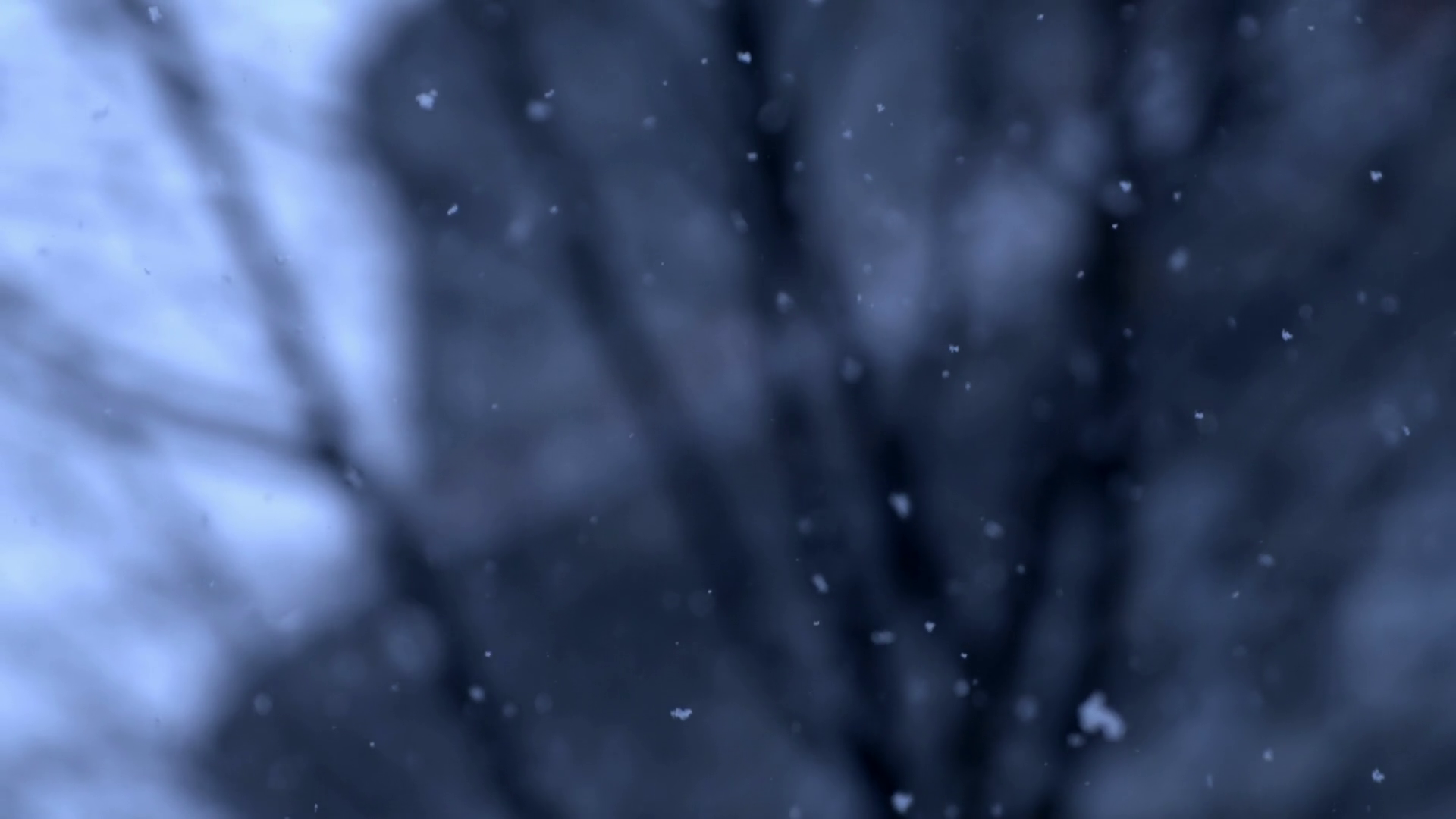 Snow Falling In Super Slow Motion Captured Stock Footage SBV-348746596 ...
