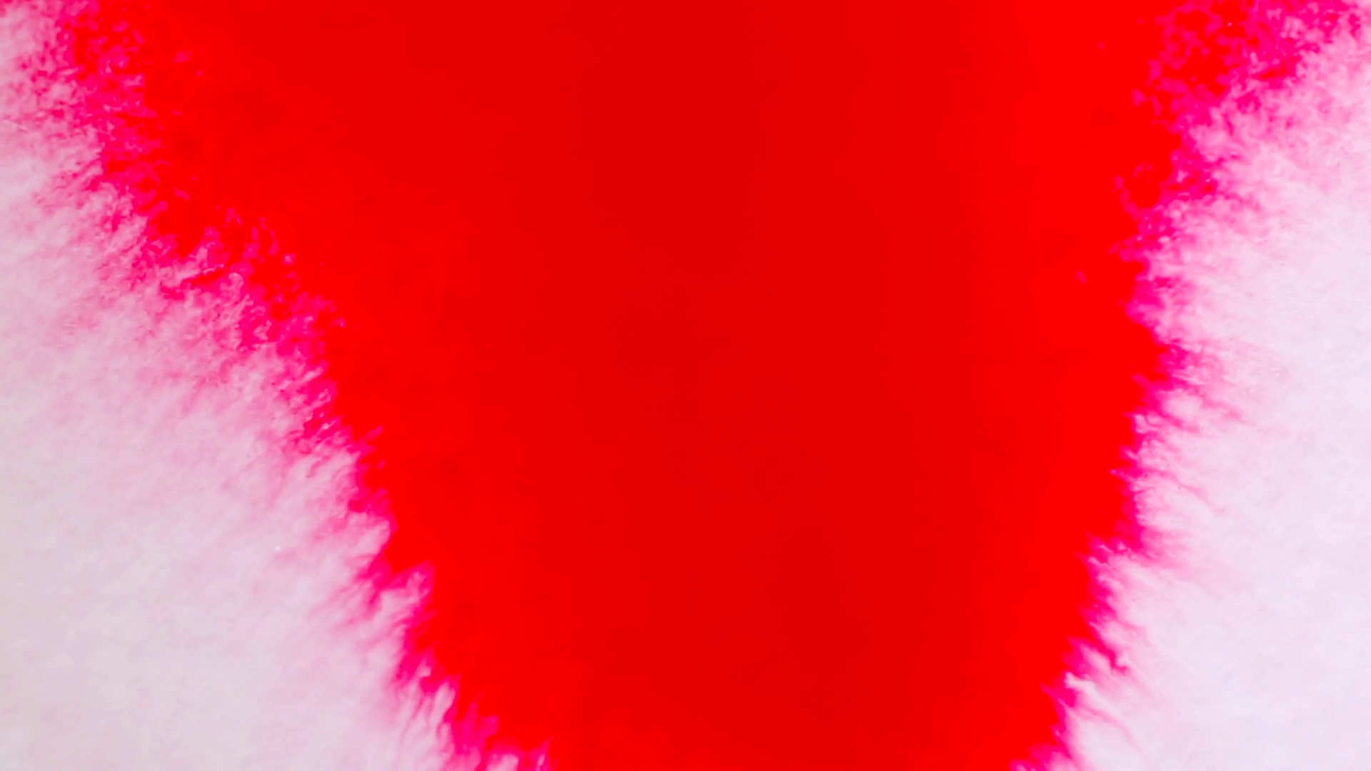 Red Blood Ink Being Splattered On White Stock Footage SBV-348476708 ...