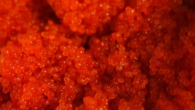 Red Caviar Stock Footage: Royalty-Free Video Clips - Storyblocks