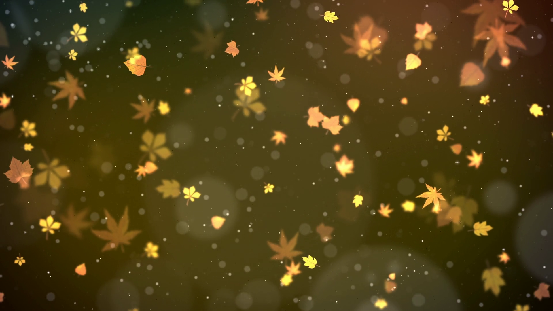 Autumn Leaf Falling Background Autumn Leaf Stock Motion Graphics SBV ...