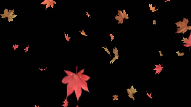 Falling Leaves | Effects and Overlays motion backgrounds - Storyblocks