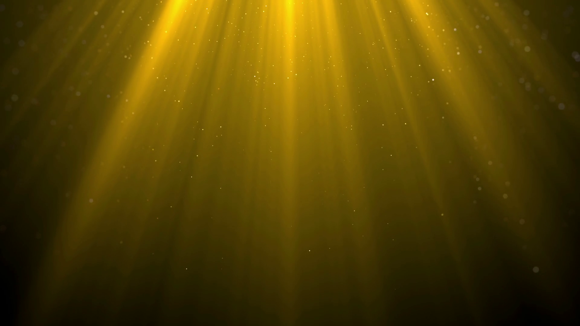 Gold Backgroundsgold Screen With Golden Stock Motion Graphics SBV ...