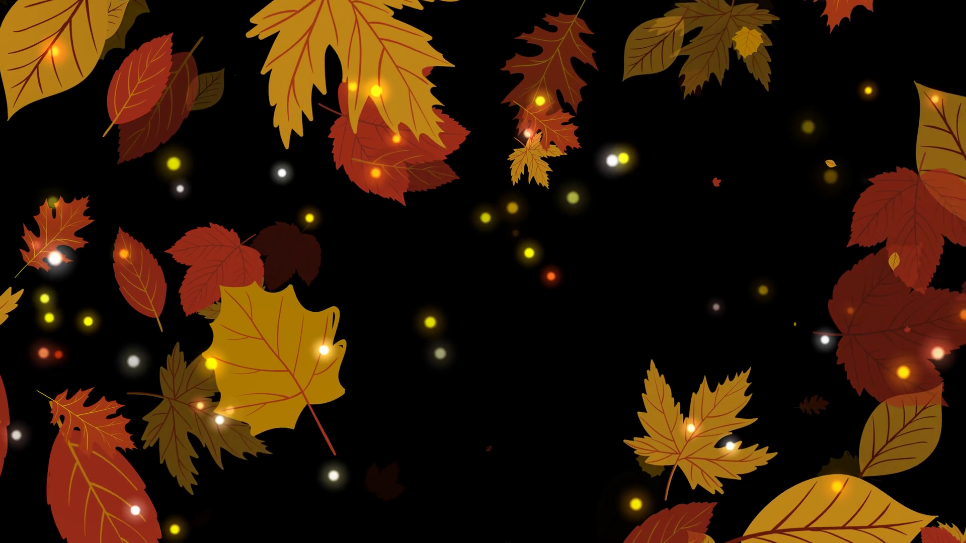 Leaf Falling Overlays With Autumn Leaf Stock Motion Graphics SBV ...